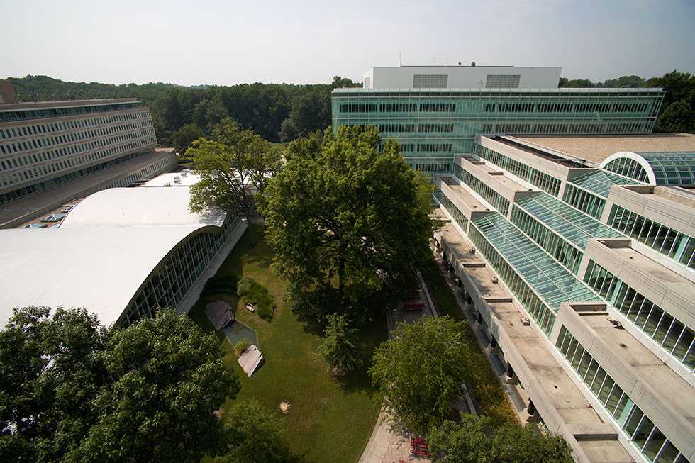 An aerial view with a deep green grassy courtyard and several trees, taller than the buildings.