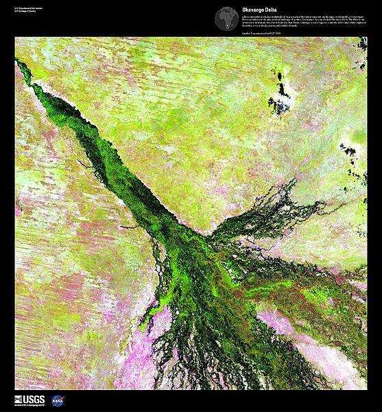 Like a watercolor in which a brushstroke of dark green has bled into a damp spot on the paper, the Okavango River spreads across the pale, parched landscape of northern Botswana to become the lush Okavango Delta - the largest inland delta in the world. This false-color satellite image shows where the river empties into a basin in the Kalahari Desert, creating a maze of lagoons, channels, and islands where vegetation flourishes, even in the dry season, and wildlife abounds. The delta originally fed into an ancient, now-dry Lake Makgadikgadi. Image courtesy of USGS.