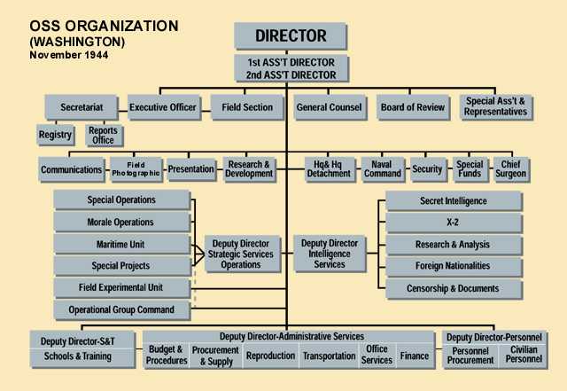 Organization chart of the OSS.