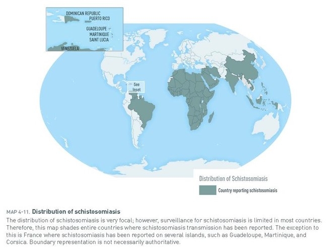 Map depicting those countries where schistosomiasis transmission has been reported