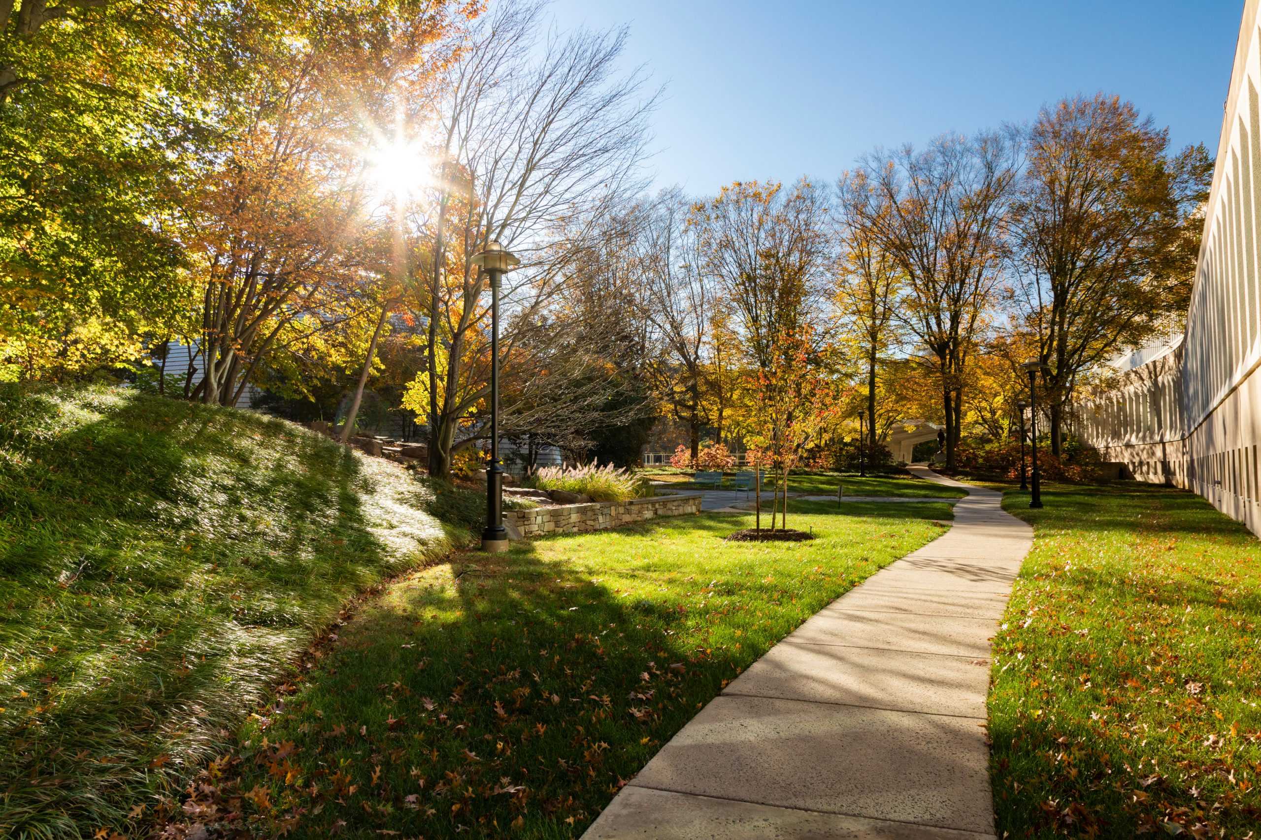 A sunny path outside CIA headquarters in fall.