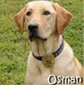 CIA dog named Osman