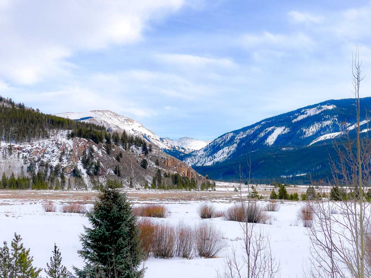 alpine mountain scene in winter, with large meadow, pine trees, and shrubs in center, surrounded by several rows of tall mountains, all covered in snow