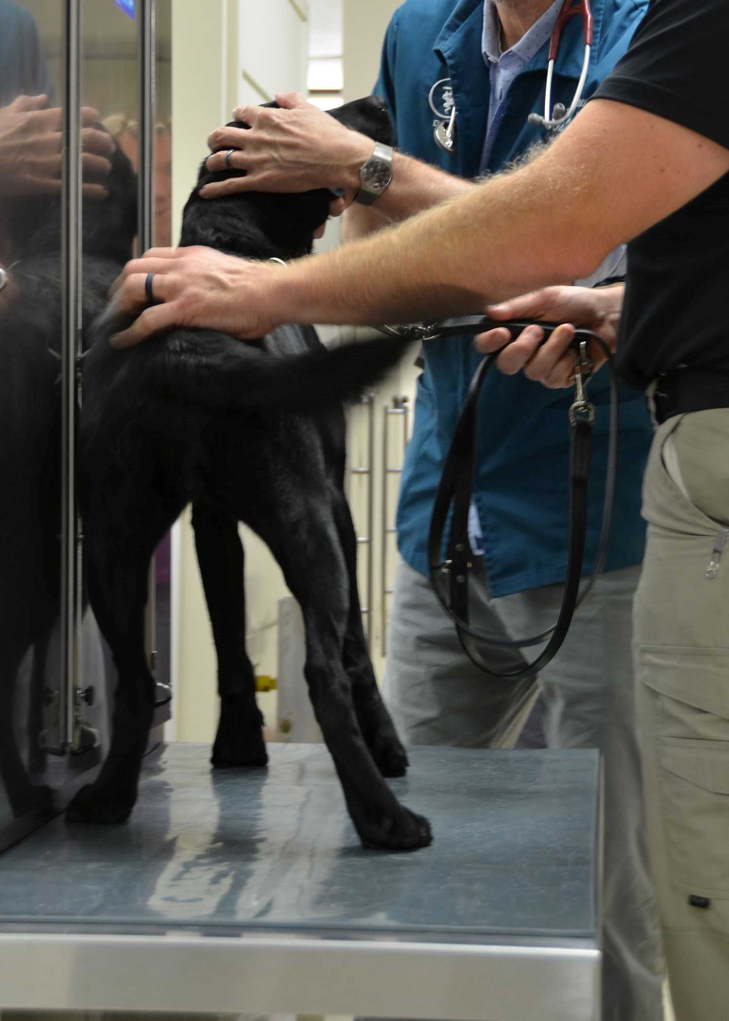Suni with Dr. Drummond