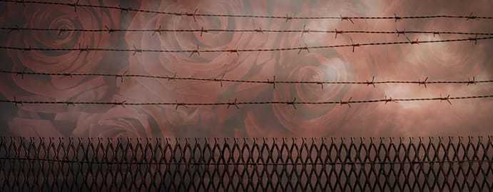 A fence with barbed wire above with a rose mural in the background.