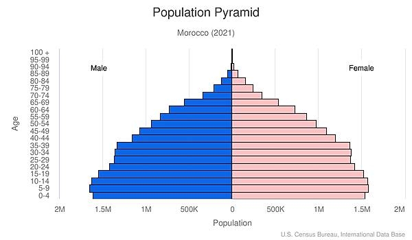 population pyramid