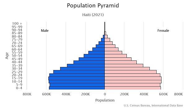 population pyramid