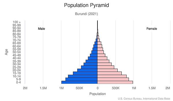 population pyramid