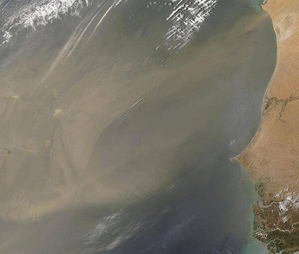 A dust storm off the west coast of Africa sprawls towards the Cape Verde Islands. Six of the ten main islands can be discerned on this image. Click on photo to increase resolution. Image courtesy of NASA.