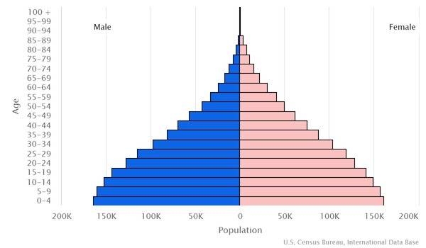 population pyramid