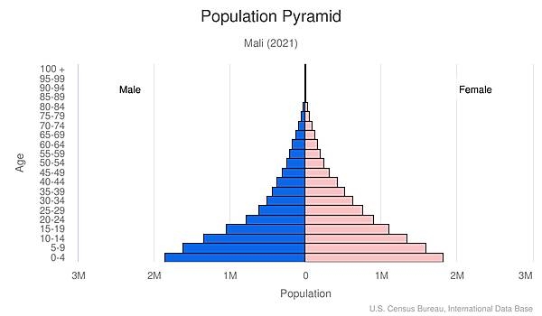 population pyramid