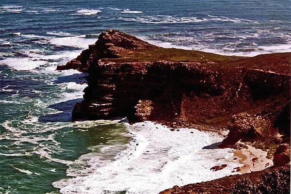 Shoreline along the Cape of Good Hope.