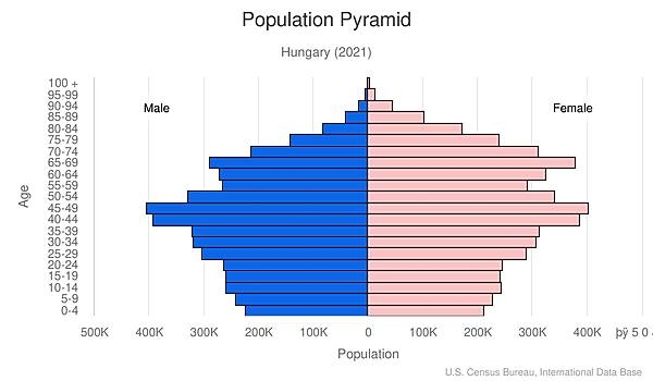 population pyramid
