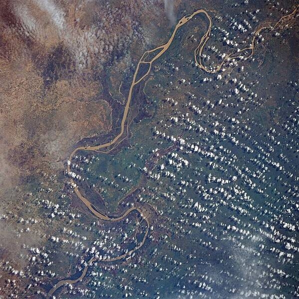 The Gambia River, from Georgetown in the upper right corner of the photograph downstream to Mansa Konko, where it becomes an estuary about 100 km (60 mi) above Banjul, the capital of The Gambia. The river is heavily silted from rain originating in the highlands of Guinea. Image courtesy of NASA.