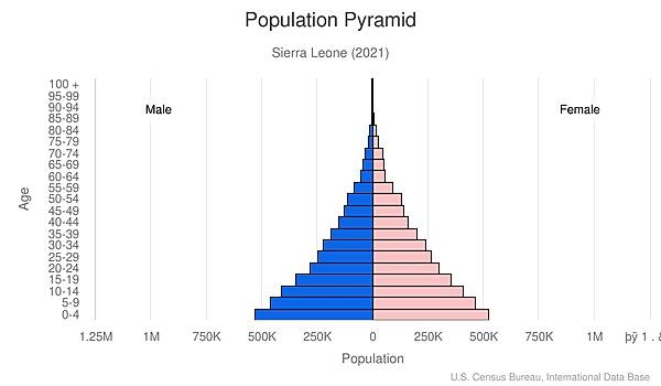 population pyramid