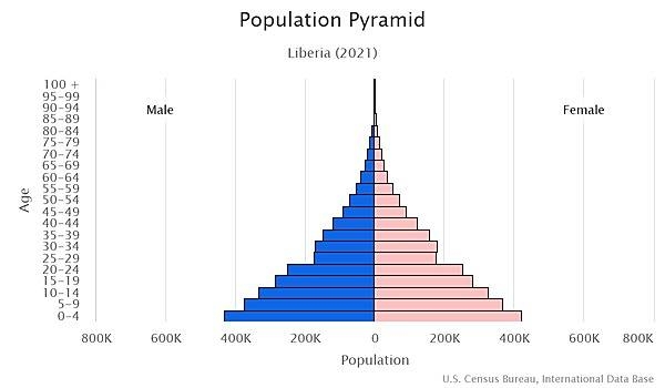 population pyramid