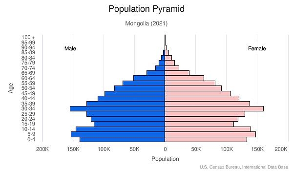 population pyramid