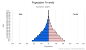 This is the population pyramid for Cameroon. A population pyramid illustrates the age and sex structure of a country's population and may provide insights about political and social stability, as well as economic development. The population is distributed along the horizontal axis, with males shown on the left and females on the right. The male and female populations are broken down into 5-year age groups represented as horizontal bars along the vertical axis, with the youngest age groups at the bottom and the oldest at the top. The shape of the population pyramid gradually evolves over time based on fertility, mortality, and international migration trends. <br/><br/>For additional information, please see the entry for Population pyramid on the Definitions and Notes page.