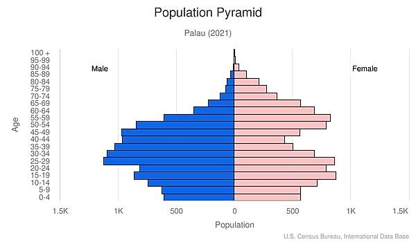 population pyramid