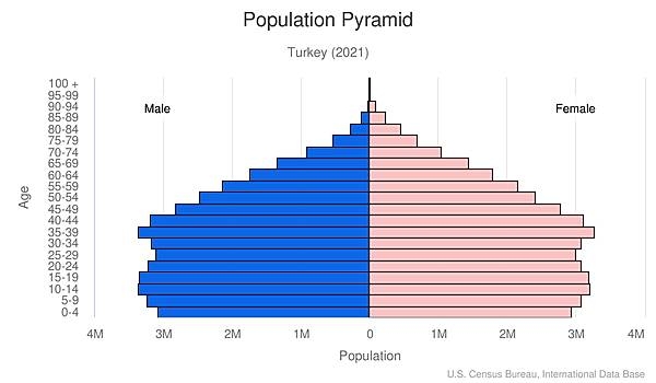 population pyramid