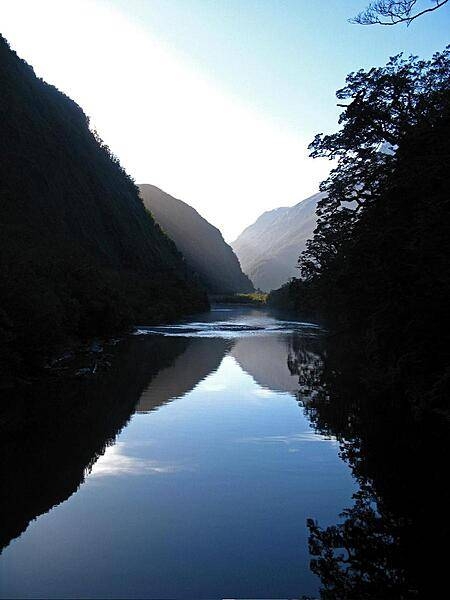 The placid waters and lush foliage of Milford Sound in Fiordland National Park, South Island.