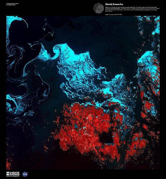 Ethereal swirls of grease ice appear turquoise against the midnight blue of the northern Baltic Sea in this false-color satellite image taken over the Aland Islands (red) between Finland and Sweden. The second stage of sea ice formation, grease ice consists of a viscous mix of tiny ice crystals and resembles an oil slick on the ocean&apos;s surface. Wind and currents constantly shape and reshape grease ice into surreal, ghostly patterns. Image courtesy of USGS.