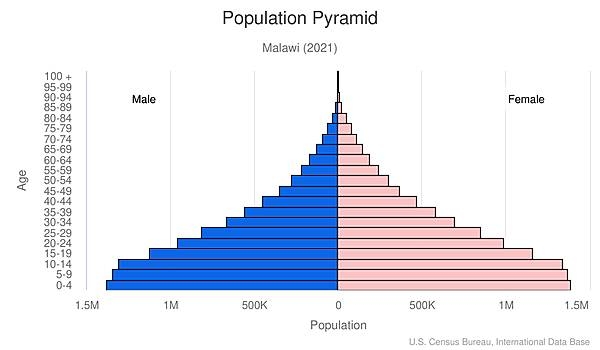 population pyramid