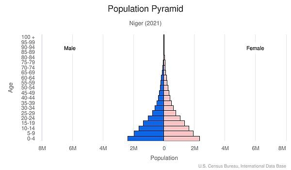 population pyramid