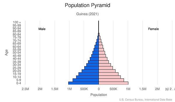 population pyramid