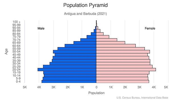 population pyramid