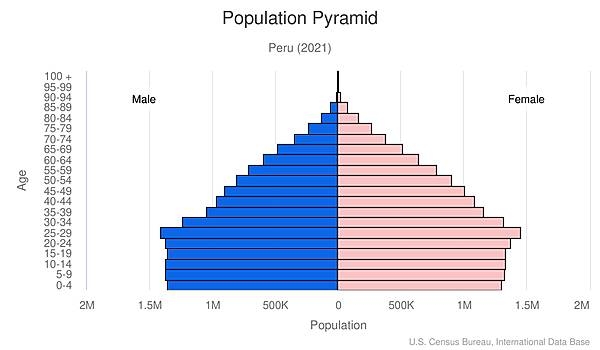 population pyramid