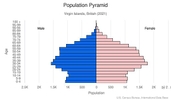 This is the population pyramid for British Virgin Islands. A population pyramid illustrates the age and sex structure of a country's population and may provide insights about political and social stability, as well as economic development. The population is distributed along the horizontal axis, with males shown on the left and females on the right. The male and female populations are broken down into 5-year age groups represented as horizontal bars along the vertical axis, with the youngest age groups at the bottom and the oldest at the top. The shape of the population pyramid gradually evolves over time based on fertility, mortality, and international migration trends. <br/><br/>For additional information, please see the entry for Population pyramid on the Definitions and Notes page.