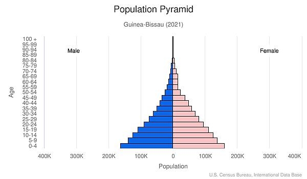 population pyramid