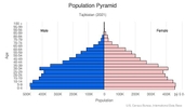 This is the population pyramid for Tajikistan. A population pyramid illustrates the age and sex structure of a country's population and may provide insights about political and social stability, as well as economic development. The population is distributed along the horizontal axis, with males shown on the left and females on the right. The male and female populations are broken down into 5-year age groups represented as horizontal bars along the vertical axis, with the youngest age groups at the bottom and the oldest at the top. The shape of the population pyramid gradually evolves over time based on fertility, mortality, and international migration trends. <br/><br/>For additional information, please see the entry for Population pyramid on the Definitions and Notes page.