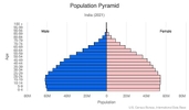 This is the population pyramid for India. A population pyramid illustrates the age and sex structure of a country's population and may provide insights about political and social stability, as well as economic development. The population is distributed along the horizontal axis, with males shown on the left and females on the right. The male and female populations are broken down into 5-year age groups represented as horizontal bars along the vertical axis, with the youngest age groups at the bottom and the oldest at the top. The shape of the population pyramid gradually evolves over time based on fertility, mortality, and international migration trends. <br/><br/>For additional information, please see the entry for Population pyramid on the Definitions and Notes page.