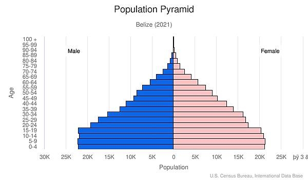 population pyramid