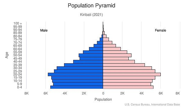 population pyramid