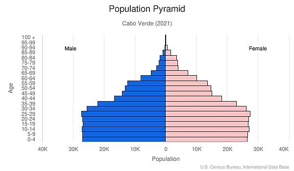 population pyramid