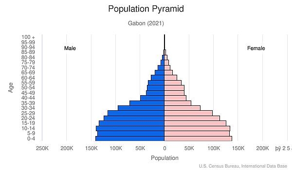 population pyramid