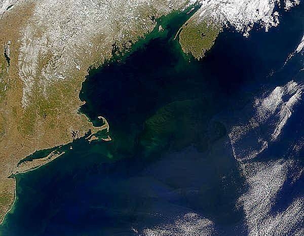 A view of Georges Bank, a large elevated area of the sea floor that separates the Gulf of Maine from the Atlantic Ocean. The Bank is situated east of Cape Cod, Massachusetts (US; on the left) and southwest of Cape Sable Island, Nova Scotia (Canada; upper right). Photo courtesy of NASA.
