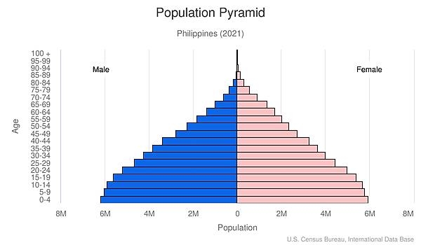 population pyramid