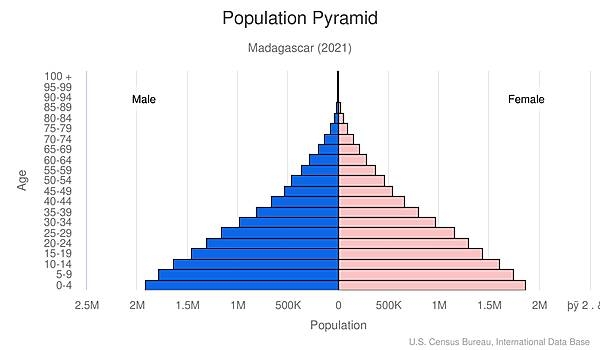 population pyramid