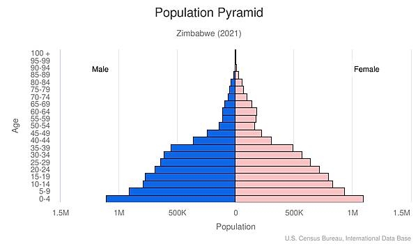 population pyramid