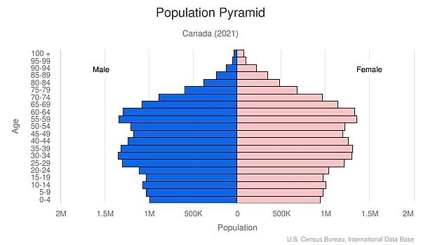 population pyramid