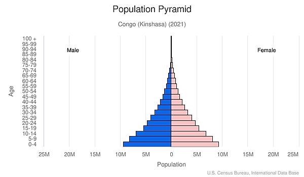 population pyramid