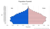 This is the population pyramid for Brazil. A population pyramid illustrates the age and sex structure of a country's population and may provide insights about political and social stability, as well as economic development. The population is distributed along the horizontal axis, with males shown on the left and females on the right. The male and female populations are broken down into 5-year age groups represented as horizontal bars along the vertical axis, with the youngest age groups at the bottom and the oldest at the top. The shape of the population pyramid gradually evolves over time based on fertility, mortality, and international migration trends. <br/><br/>For additional information, please see the entry for Population pyramid on the Definitions and Notes page.