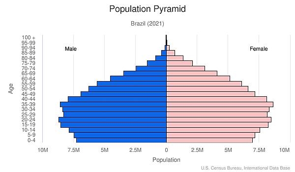 population pyramid