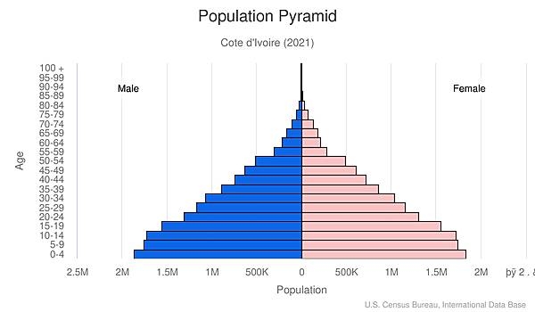 population pyramid