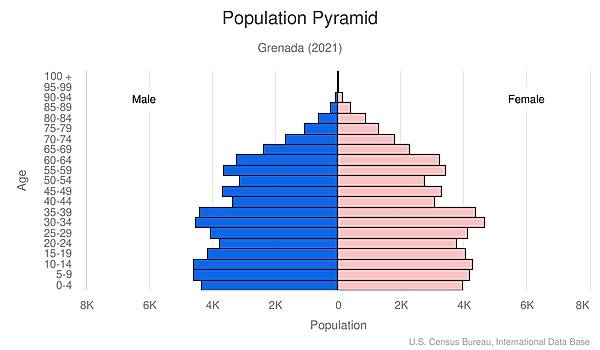 population pyramid