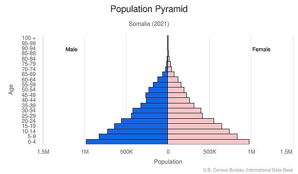 population pyramid